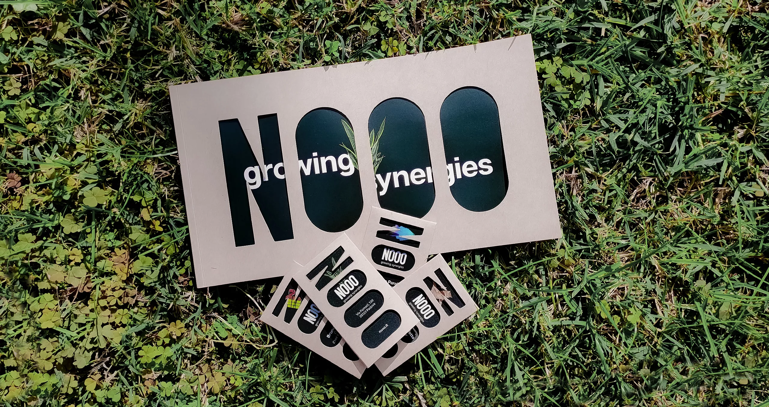 Growing synergies: vi raccontiamo il valore del rebranding di NOOO